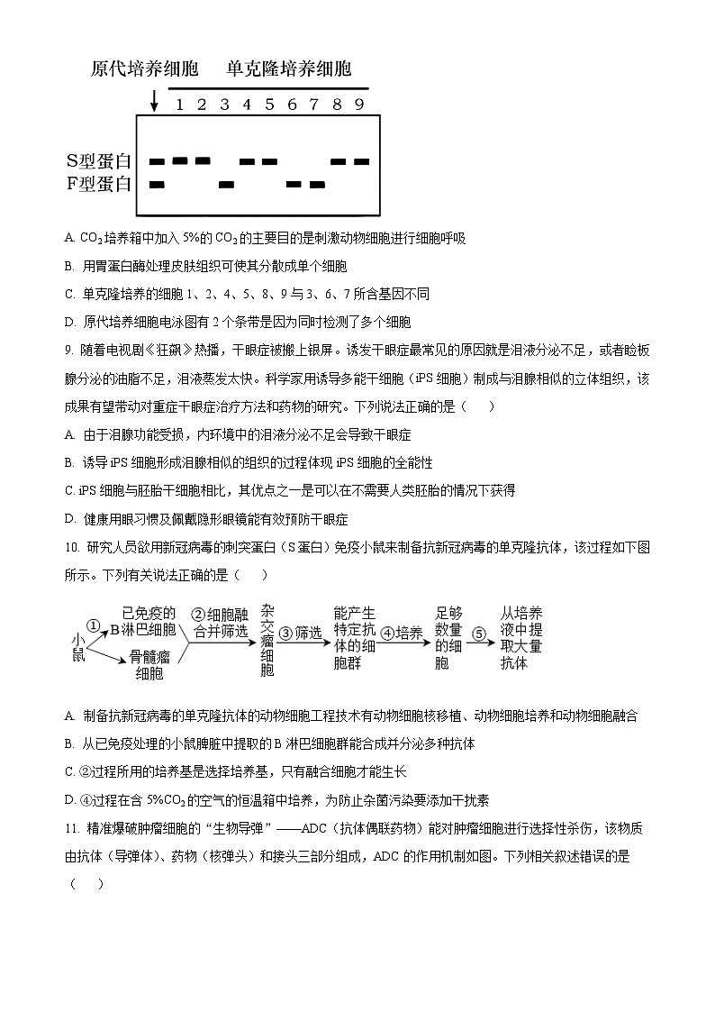 2023兰州一中高二下学期期末考试生物试题含答案03