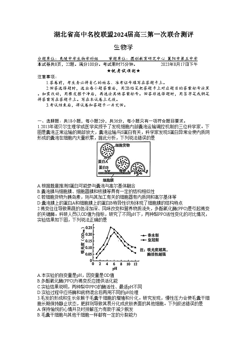 2024湖北省高中名校联盟高三上学期第一次联合测评生物试题含答案01