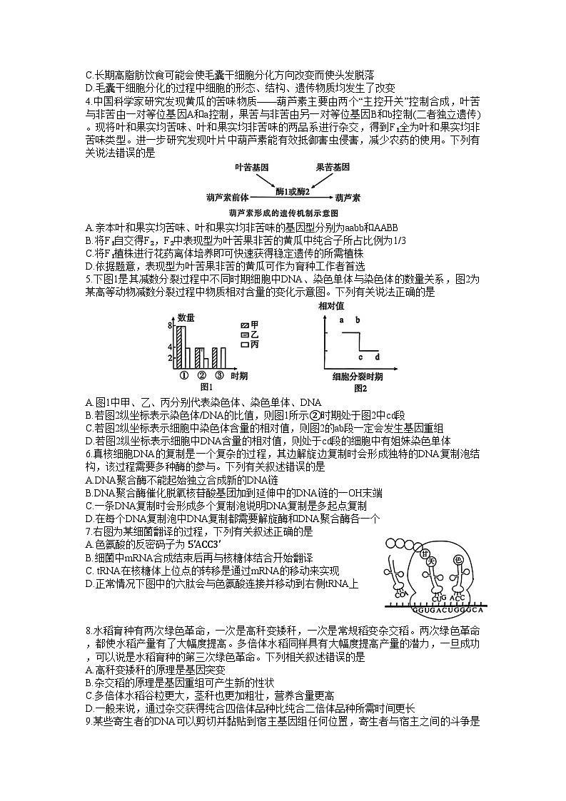 2024湖北省高中名校联盟高三上学期第一次联合测评生物试题含答案02