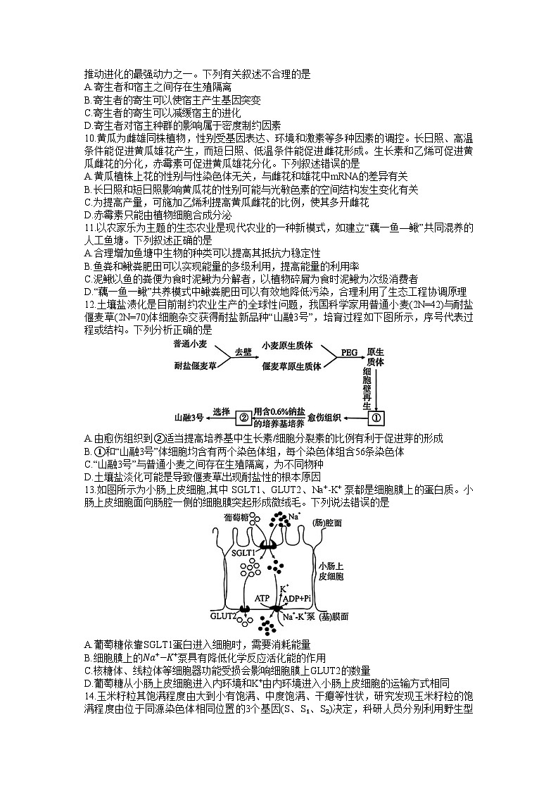 2024湖北省高中名校联盟高三上学期第一次联合测评生物试题含答案03