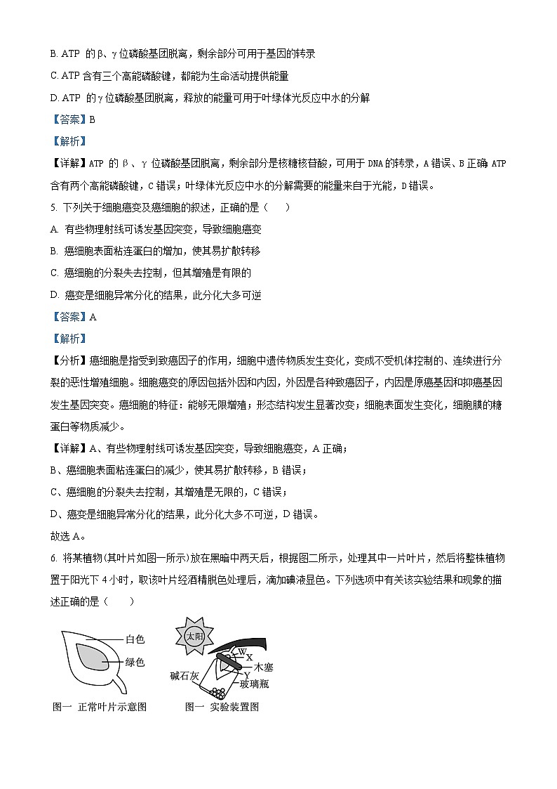 四川省内江市资中县二中2022-2023学年高三生物上学期10月月考试题（Word版附解析）第3页