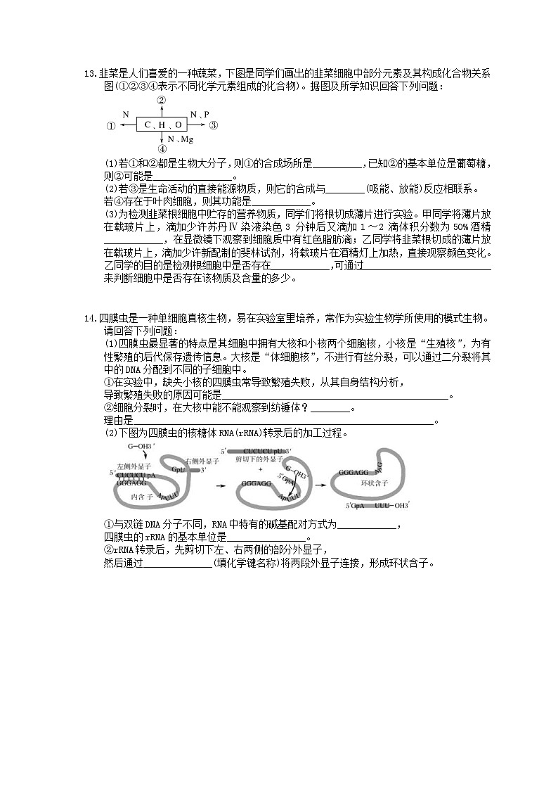 高考生物 二轮专题跟踪练习01 组成细胞的分子(含答案解析)第3页