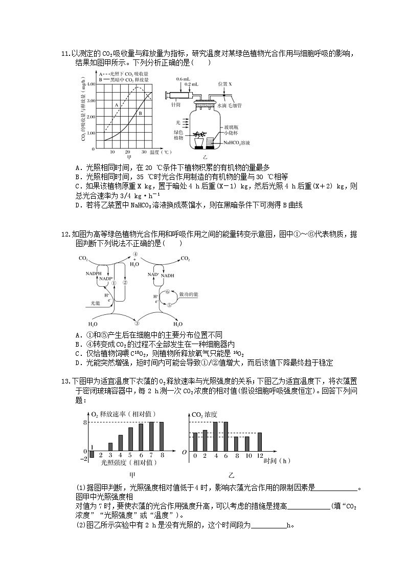 高考生物 二轮专题跟踪练习05 光合作用与细胞呼吸(含答案解析)第3页