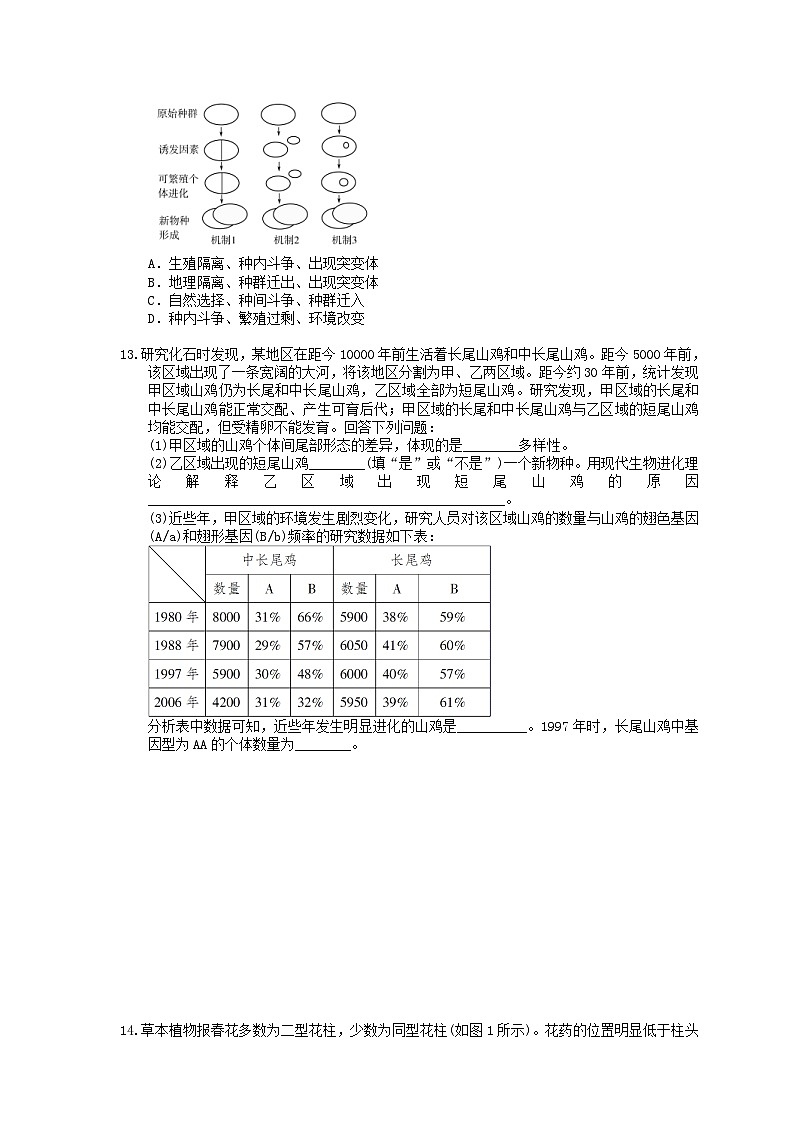 高考生物 二轮专题跟踪练习10 生物的进化(含答案解析)第3页