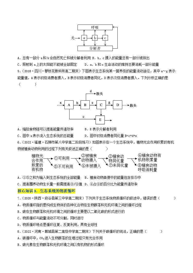 高二生物分层训练AB卷（人教版2019选择性必修2）第3章 生态系统及其稳定性（A卷·知识通关练）02