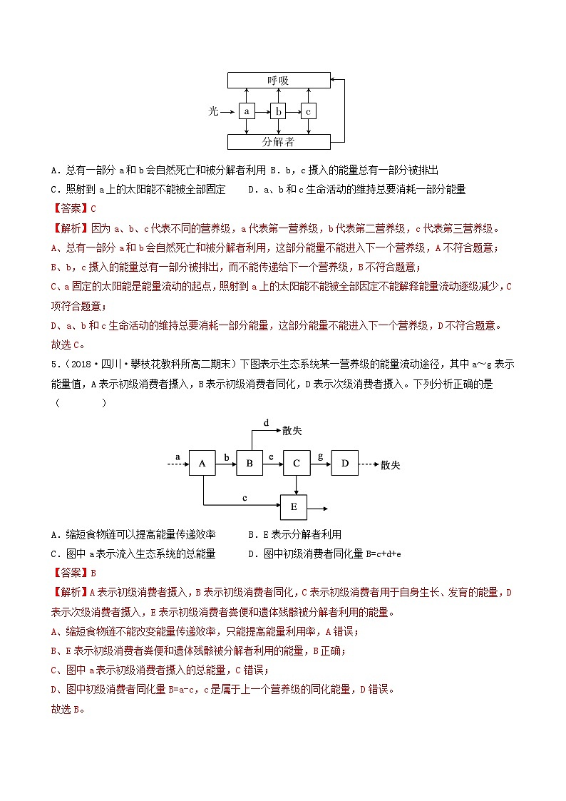 高二生物分层训练AB卷（人教版2019选择性必修2）第3章 生态系统及其稳定性（A卷·知识通关练）03