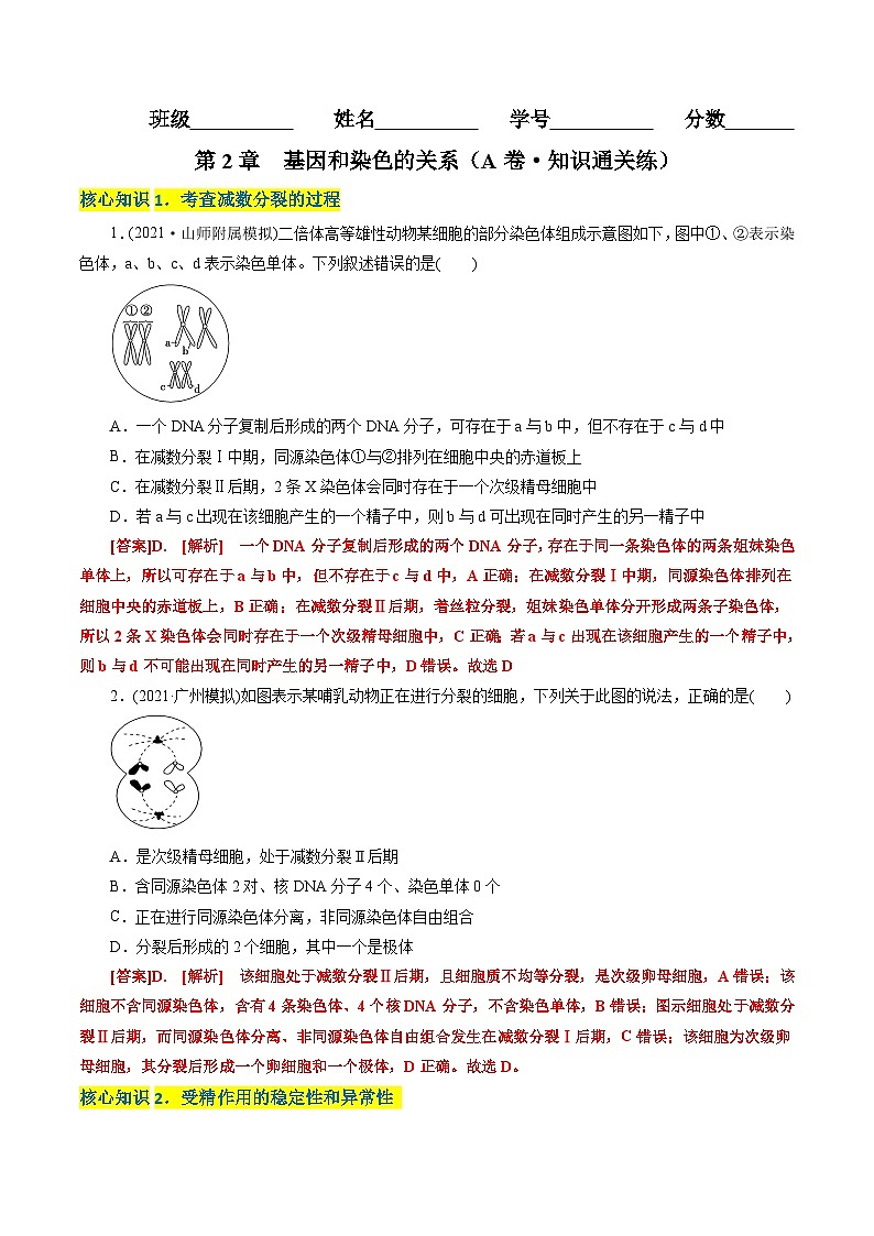 第2章  基因和染色体的关系（A卷·知识通关练）（教师版）第1页