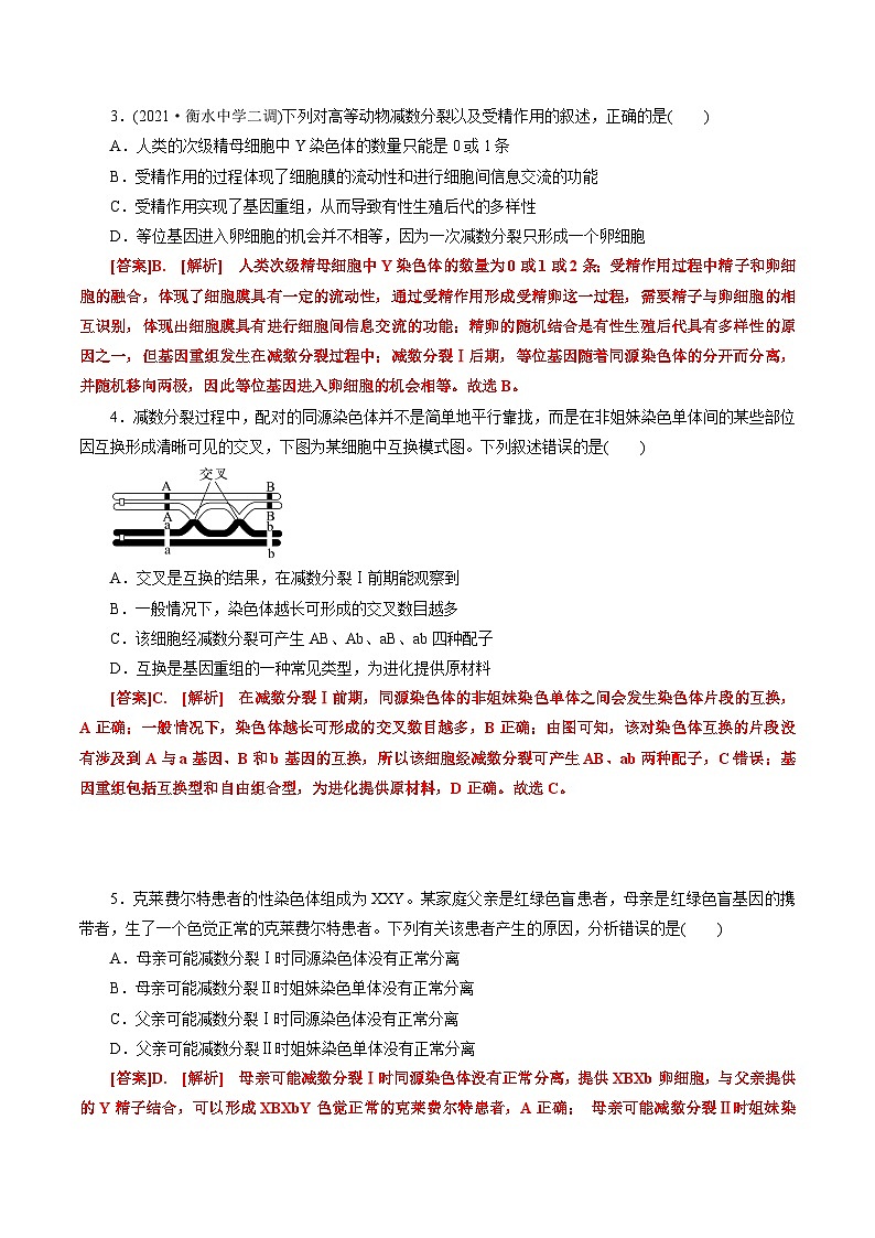 第2章  基因和染色体的关系（A卷·知识通关练）（教师版）第2页