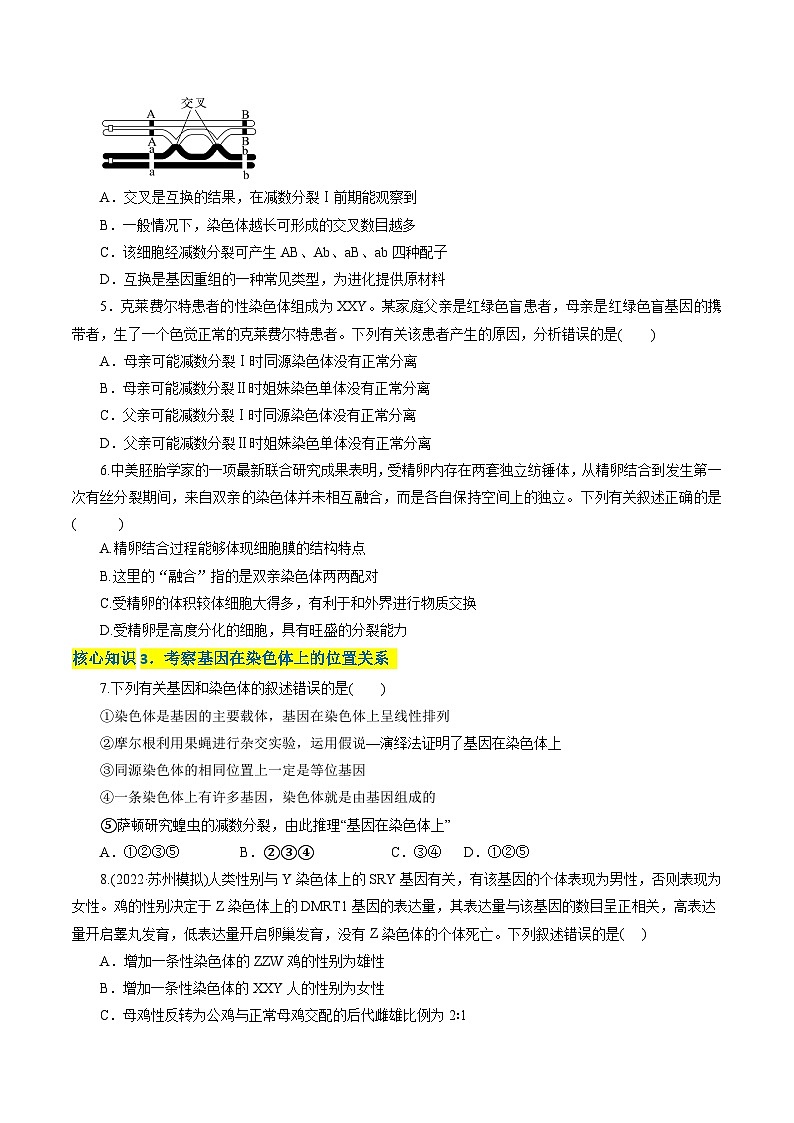 第2章  基因和染色体的关系（A卷·知识通关练）（学生版）第2页