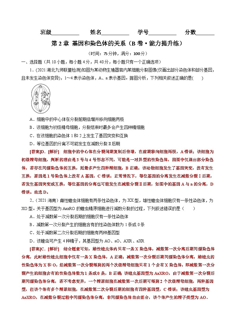 第2章 基因和染色体的关系（B卷·能力提升练）（教师版）第1页