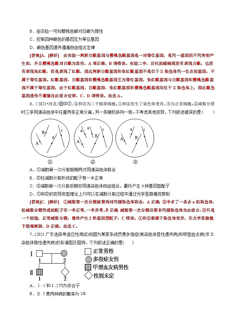 第2章 基因和染色体的关系（B卷·能力提升练）（教师版）第3页