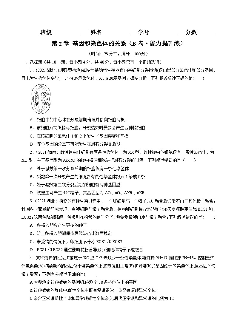 第2章 基因和染色体的关系（B卷·能力提升练）（学生版）第1页