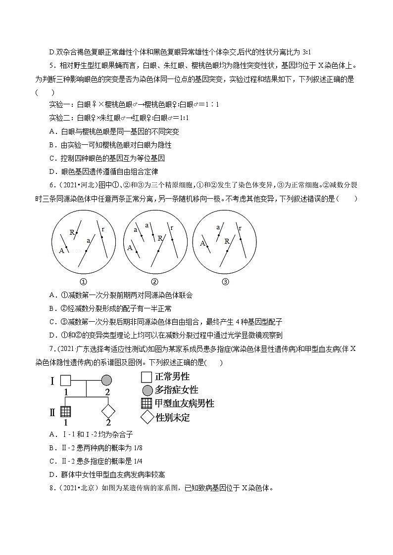 第2章 基因和染色体的关系（B卷·能力提升练）（学生版）第2页