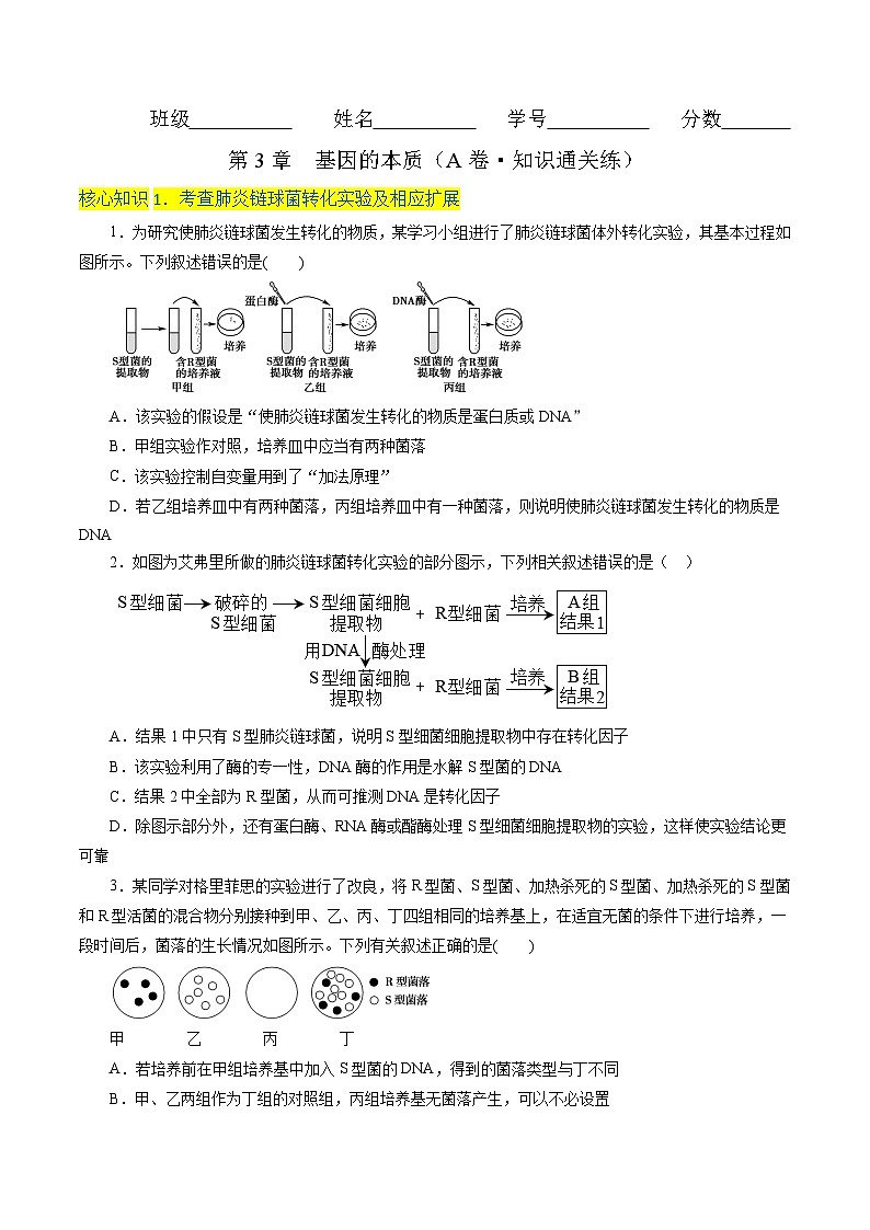 第3章  基因的本质（A卷·知识通关练）（学生版）第1页