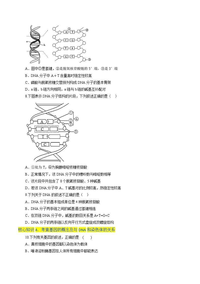 第3章  基因的本质（A卷·知识通关练）（学生版）第3页