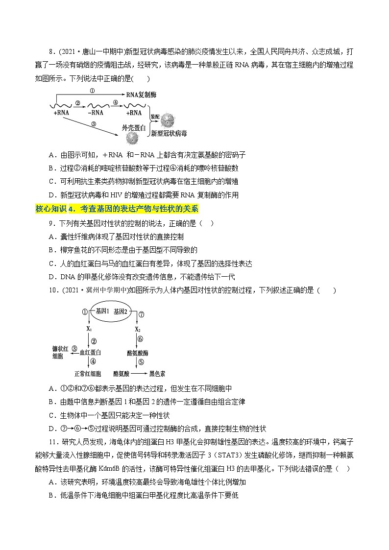 高一生物分层训练AB卷（人教版2019必修2）第4章  基因的表达（A卷·知识通关练）03