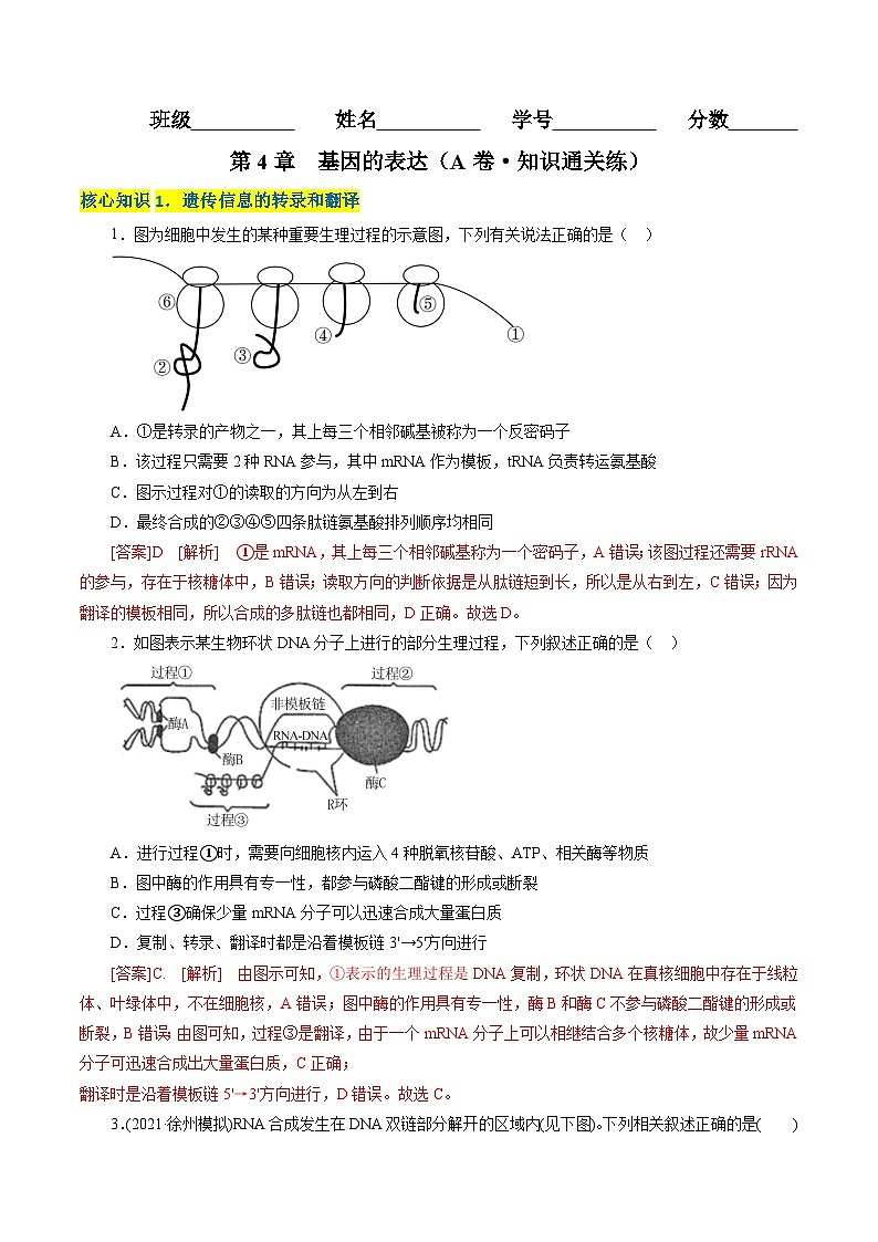 高一生物分层训练AB卷（人教版2019必修2）第4章  基因的表达（A卷·知识通关练）01