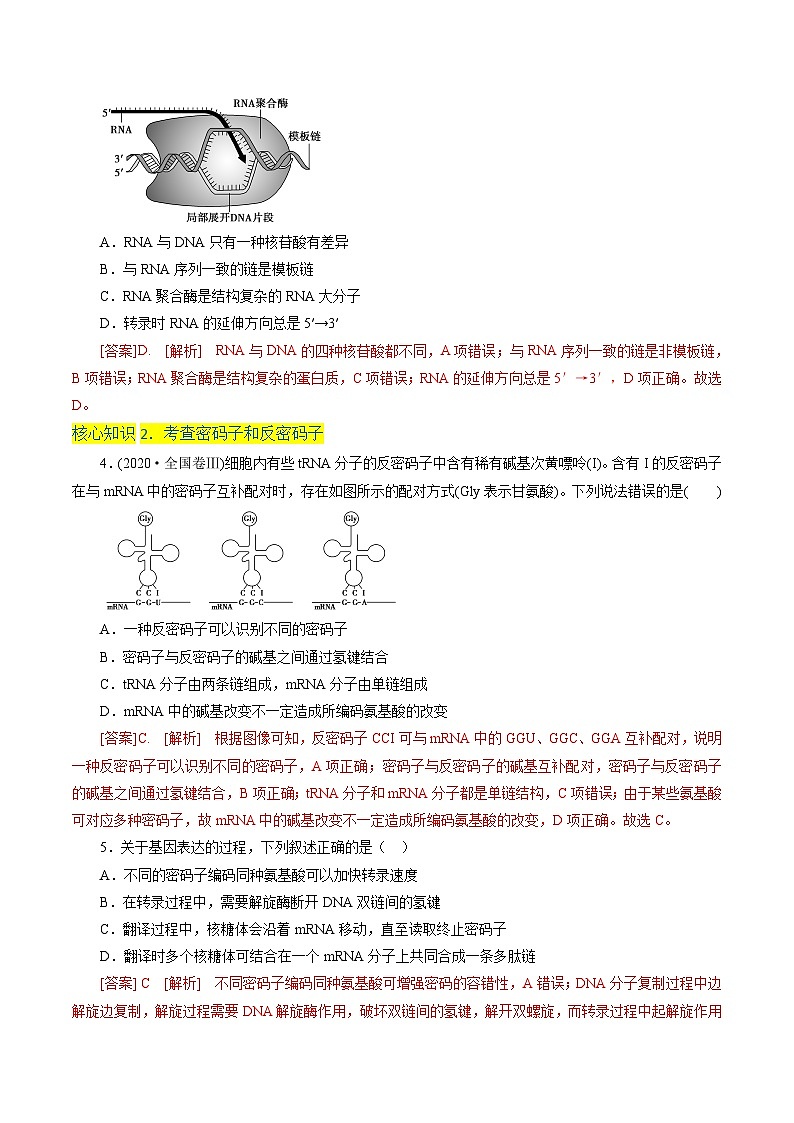 高一生物分层训练AB卷（人教版2019必修2）第4章  基因的表达（A卷·知识通关练）02