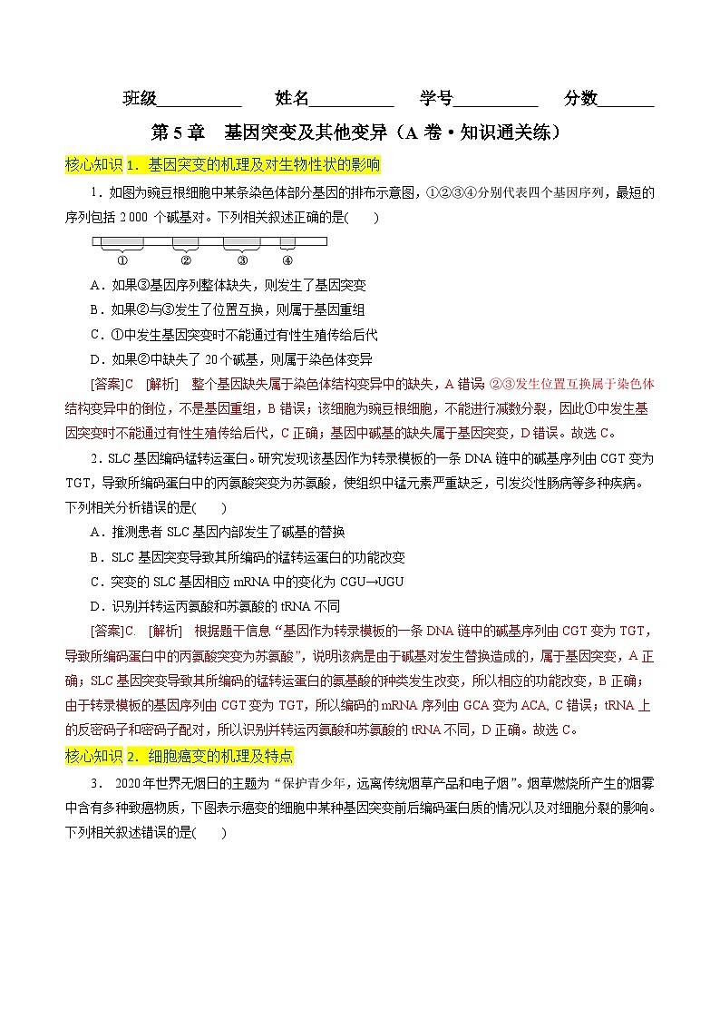 高一生物分层训练AB卷（人教版2019必修2）第5章  基因突变及其他变异（A卷·知识通关练）01