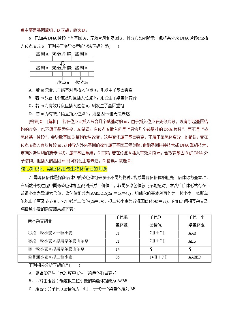 高一生物分层训练AB卷（人教版2019必修2）第5章  基因突变及其他变异（A卷·知识通关练）03