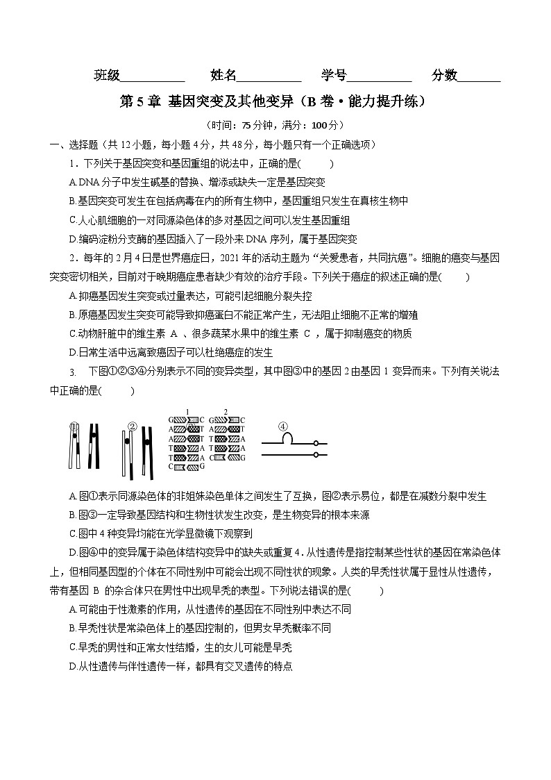第5章  基因突变及其他变异（B卷·能力提升练）（学生版）第1页