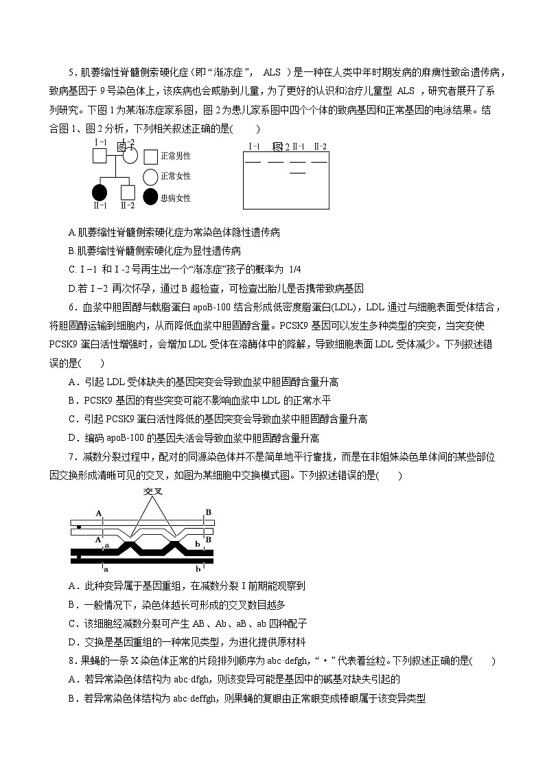 第5章  基因突变及其他变异（B卷·能力提升练）（学生版）第2页
