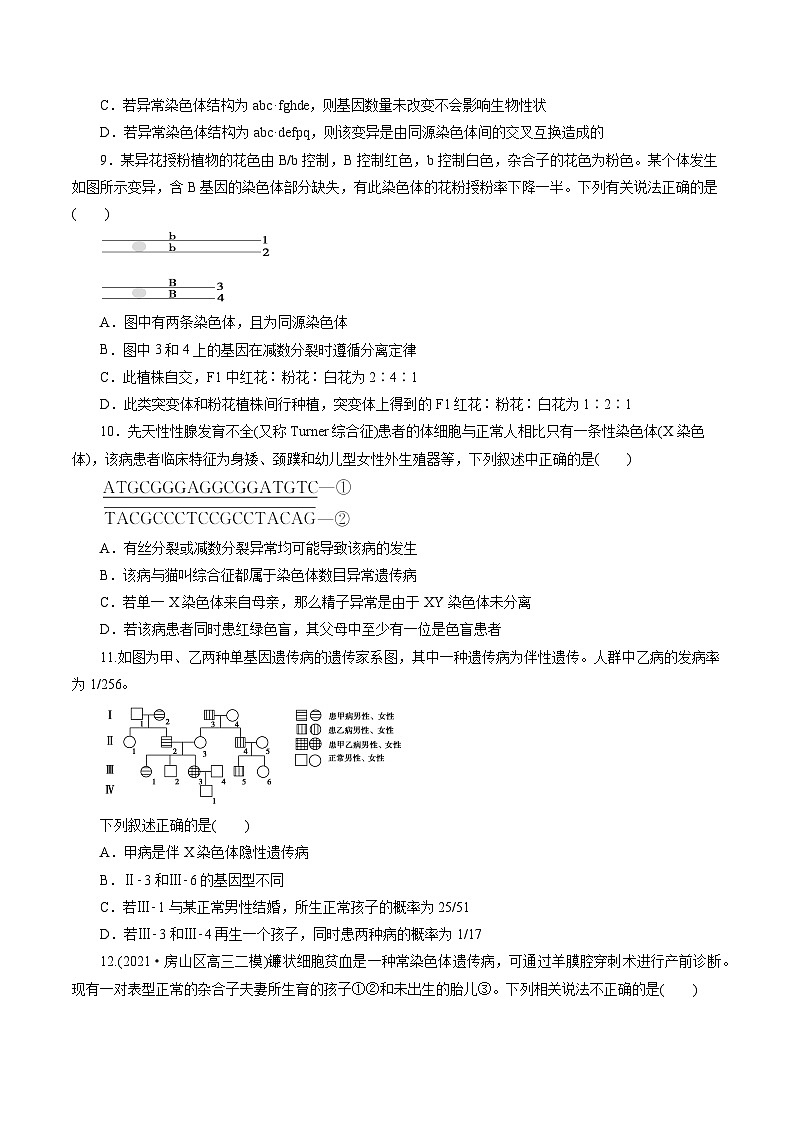 第5章  基因突变及其他变异（B卷·能力提升练）（学生版）第3页