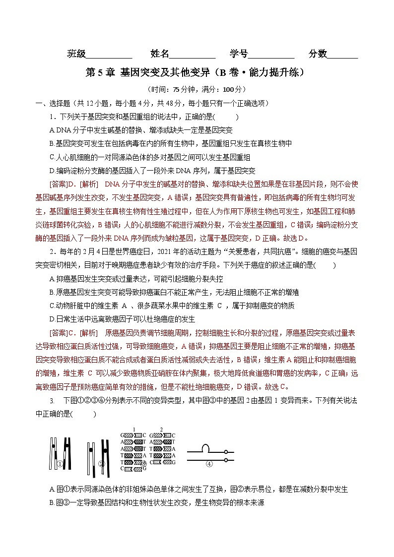 第5章  基因突变及其他变异（B卷·能力提升练）（教师版）第1页