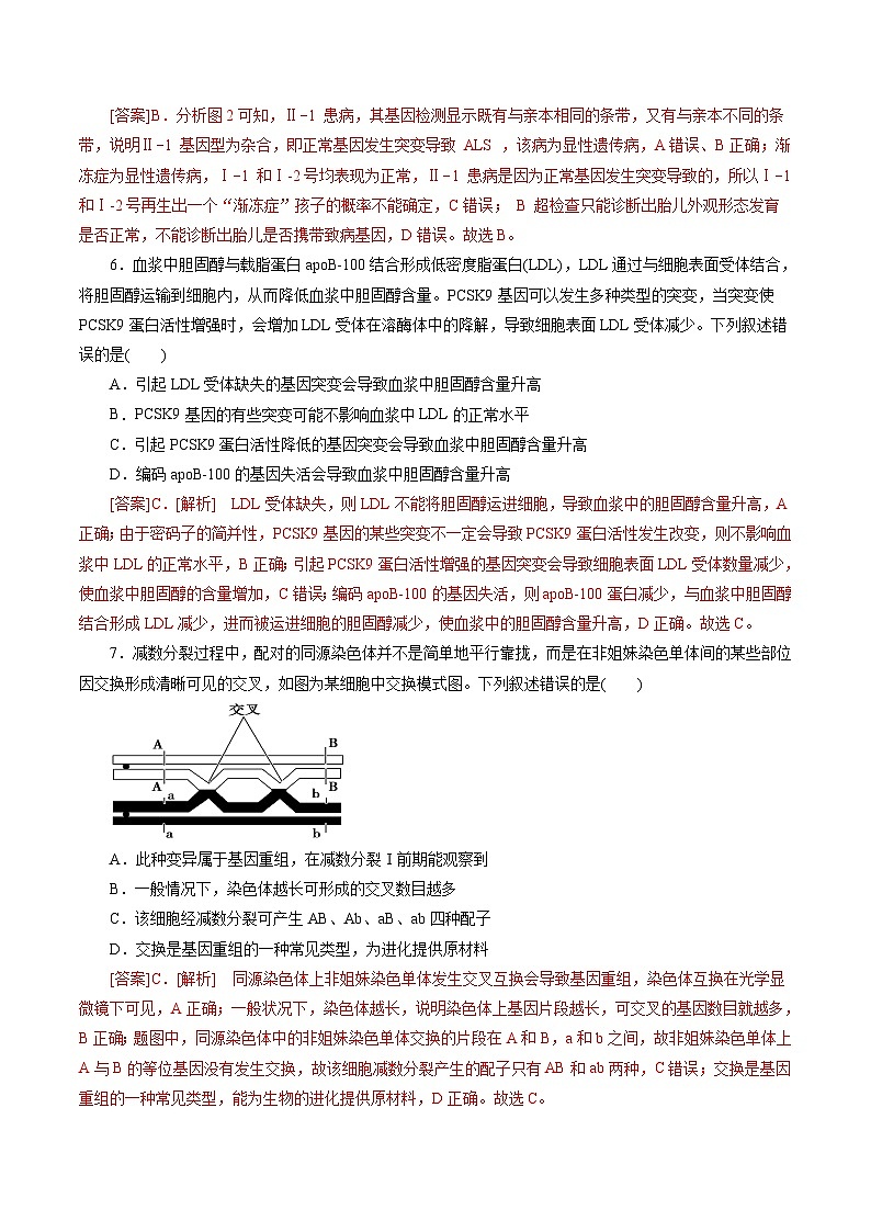 第5章  基因突变及其他变异（B卷·能力提升练）（教师版）第3页