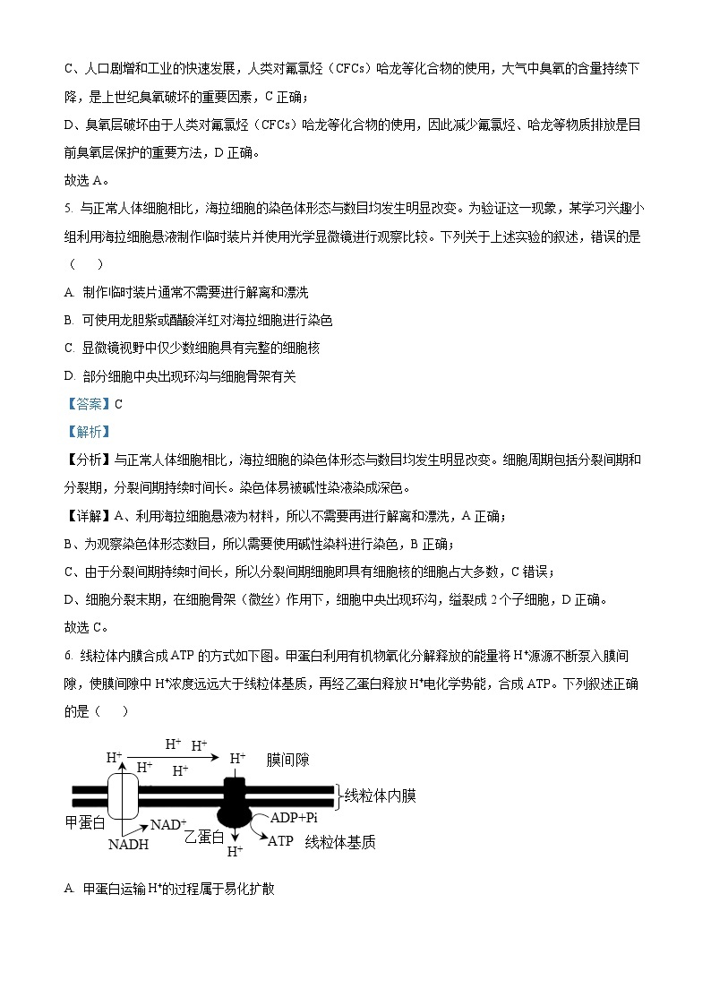浙江强基联盟2022-2023学年高二生物上学期2月考试试题（Word版附解析）03
