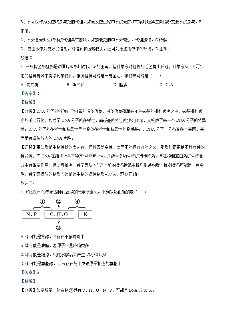 浙江省嘉兴市2022-2023学年高一生物上学期期末试题（Word版附解析）02