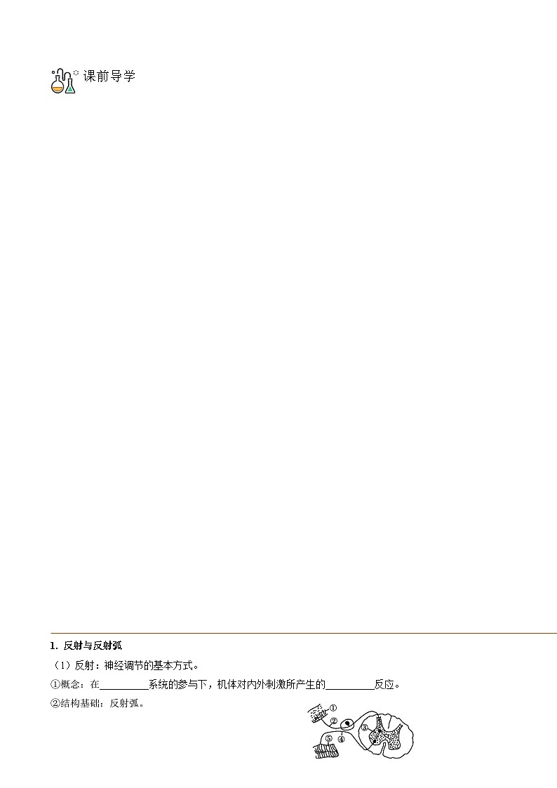 高二生物同步 讲义（人教版2019选择性必修1）2.2 神经调节的基本方式03