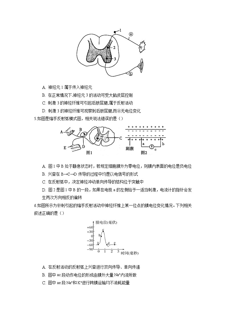高二生物分层训练AB卷（人教版2019选择性必修1）第2章 神经调节（知识通关练）02