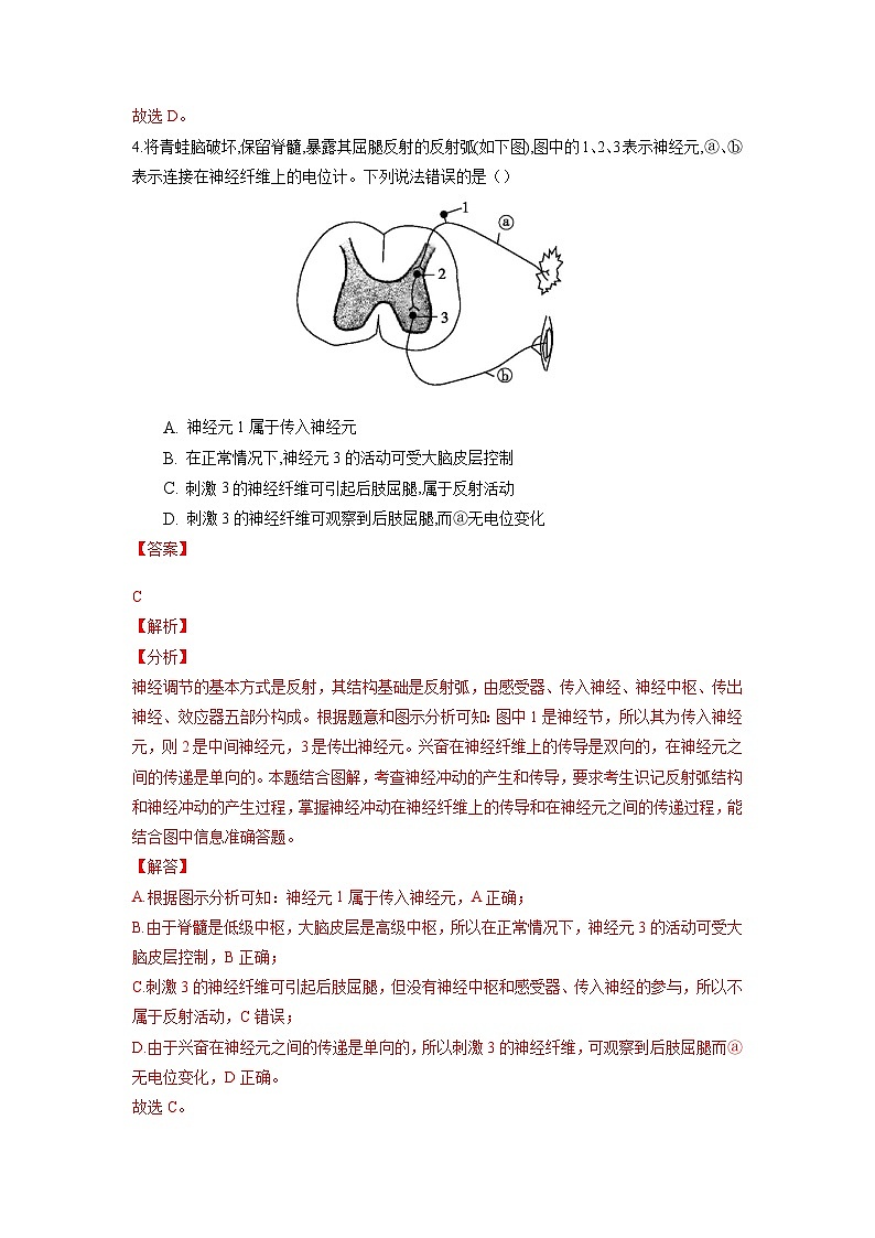 高二生物分层训练AB卷（人教版2019选择性必修1）第2章 神经调节（知识通关练）03