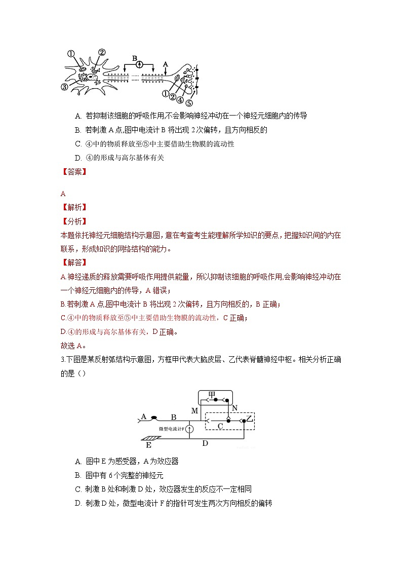 高二生物分层训练AB卷（人教版2019选择性必修1）第2章 神经调节（能力提升练）02