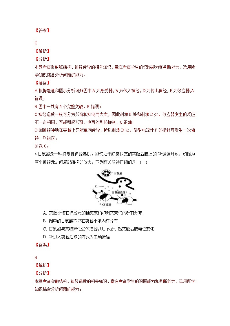 高二生物分层训练AB卷（人教版2019选择性必修1）第2章 神经调节（能力提升练）03