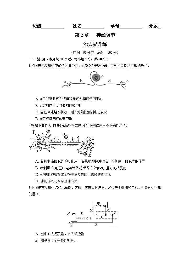 高二生物分层训练AB卷（人教版2019选择性必修1）第2章 神经调节（能力提升练）01