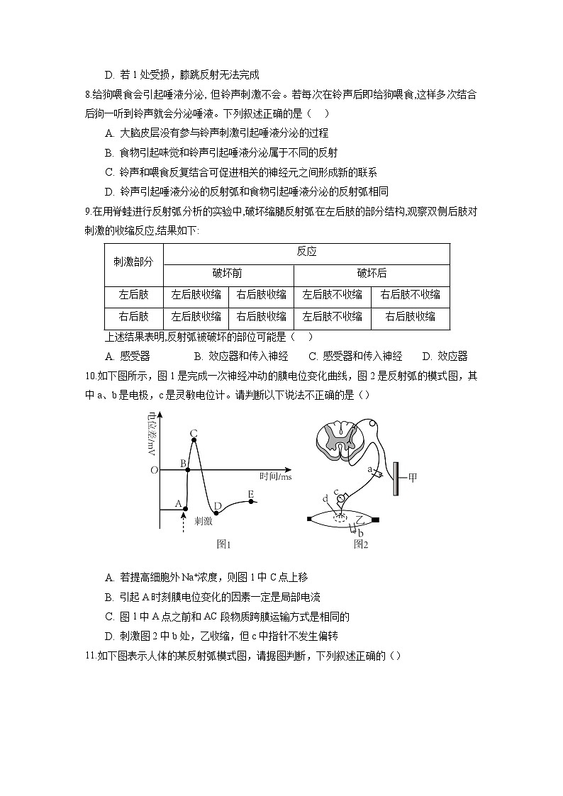 高二生物分层训练AB卷（人教版2019选择性必修1）第2章 神经调节（能力提升练）03