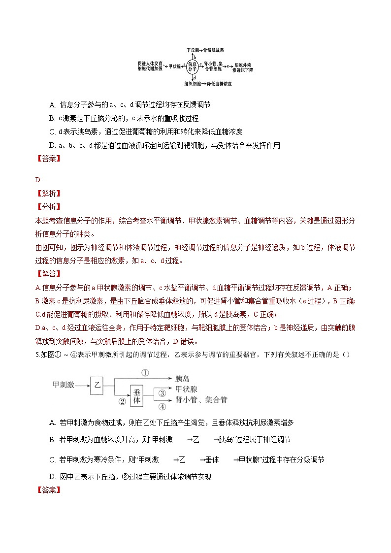 高二生物分层训练AB卷（人教版2019选择性必修1）第3章 体液调节（知识通关练）03