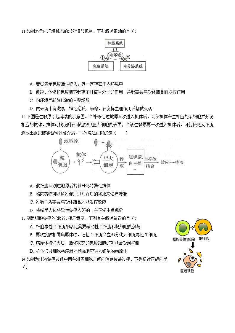 高二生物分层训练AB卷（人教版2019选择性必修1）第4章 免疫调节（知识通关练）03