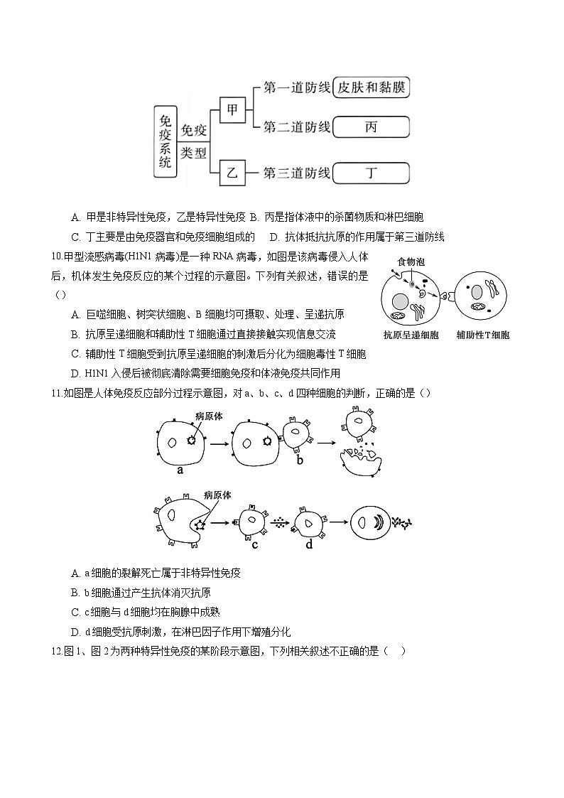 高二生物分层训练AB卷（人教版2019选择性必修1）第4章 免疫调节（能力提升练）03