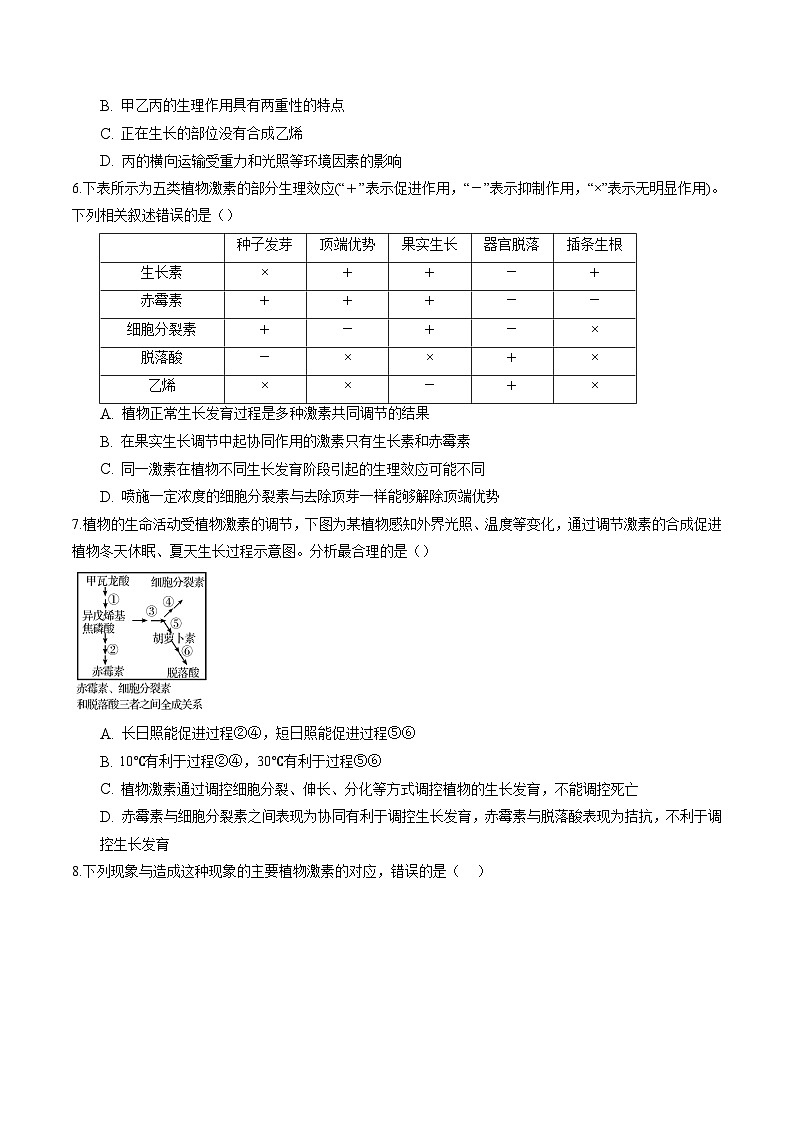 高二生物分层训练AB卷（人教版2019选择性必修1）第5章  植物生命活动的调节（知识通关练）02