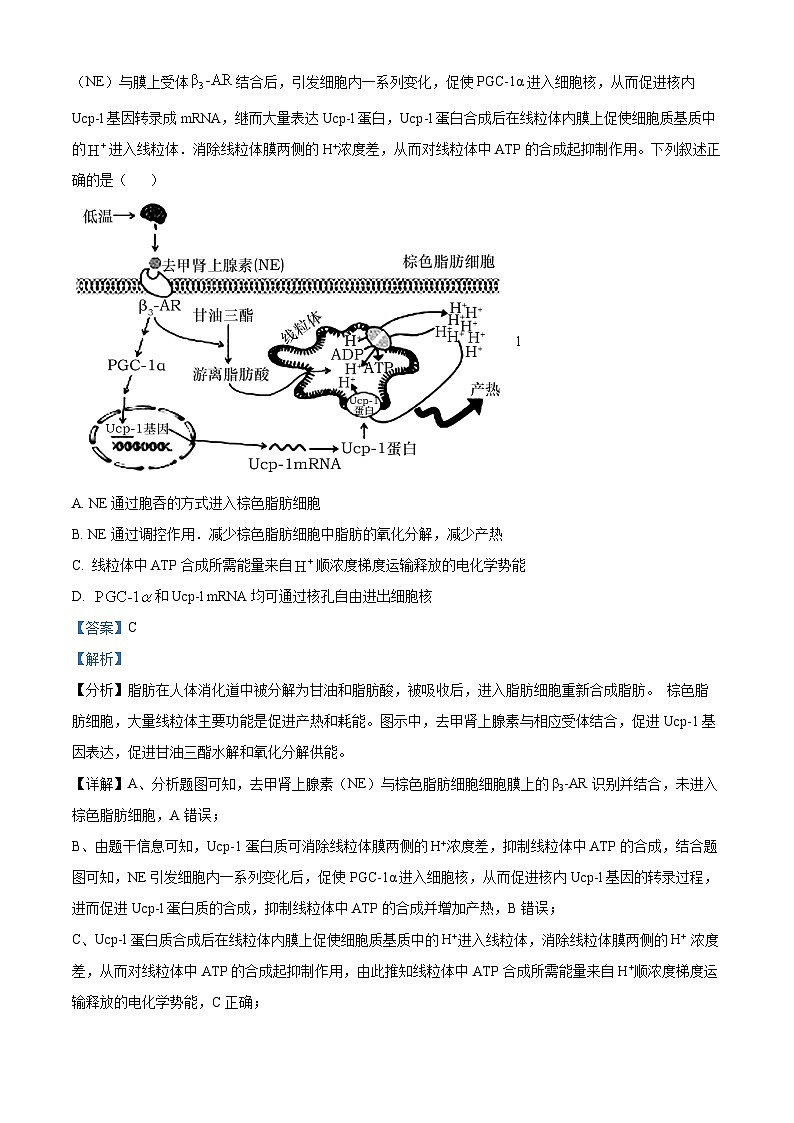 浙江省温州市瑞安中学2022-2023学年高三生物下学期模拟考试试题（Word版附解析）03