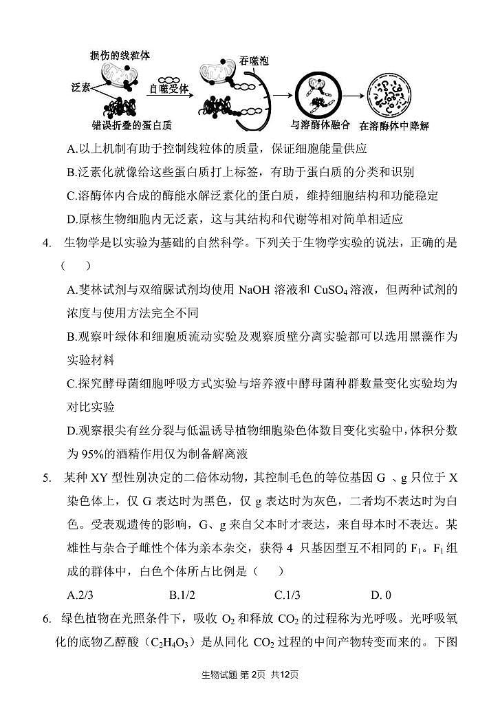 2023山东大学附中高三上学期开学摸底考试（8月）生物PDF版含答案第2页