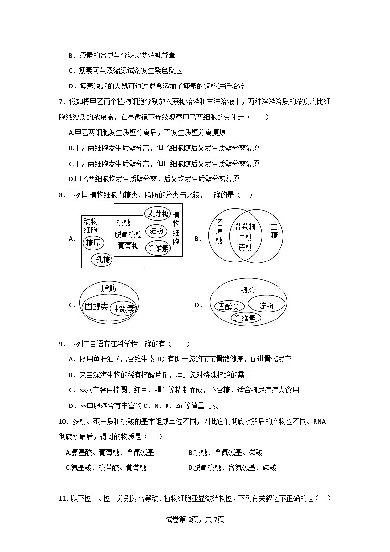 吉林省通化市辉南县第六中学2023-2024学年高三上学期第一次半月考生物第2页