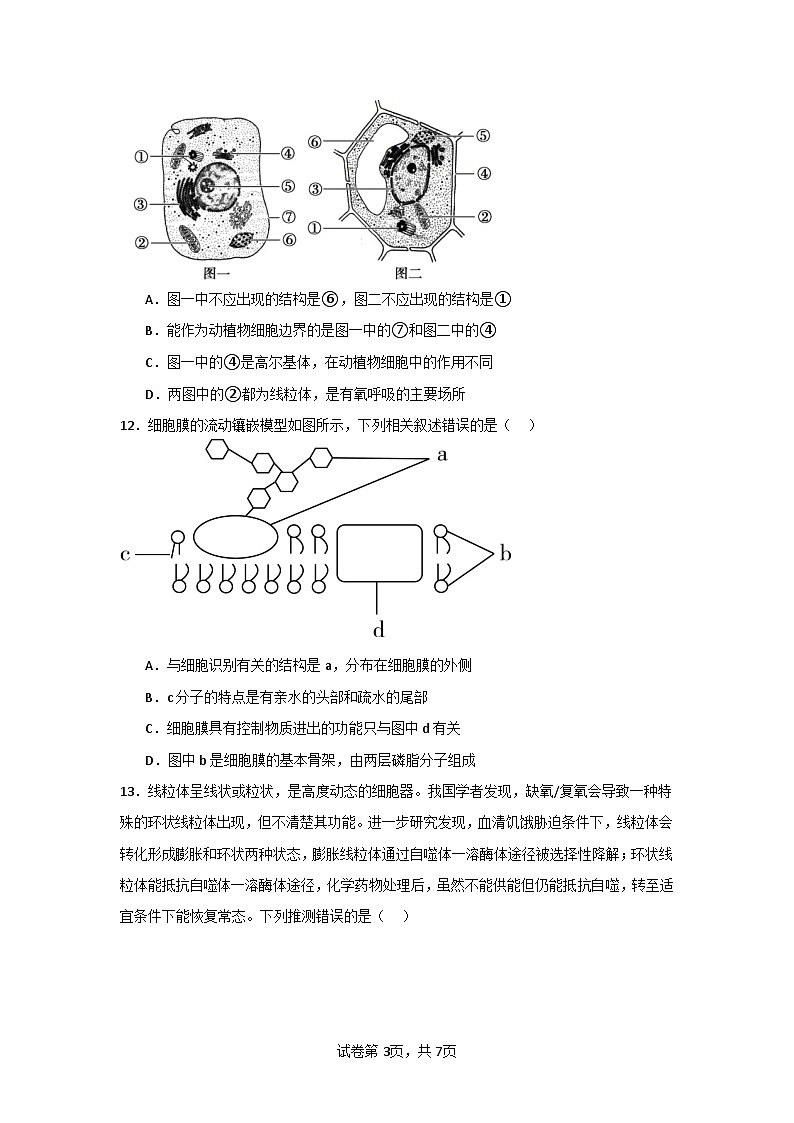 吉林省通化市辉南县第六中学2023-2024学年高三上学期第一次半月考生物第3页