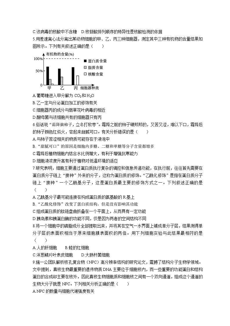 2023枣庄三中高一上学期期中生物试题无解析02