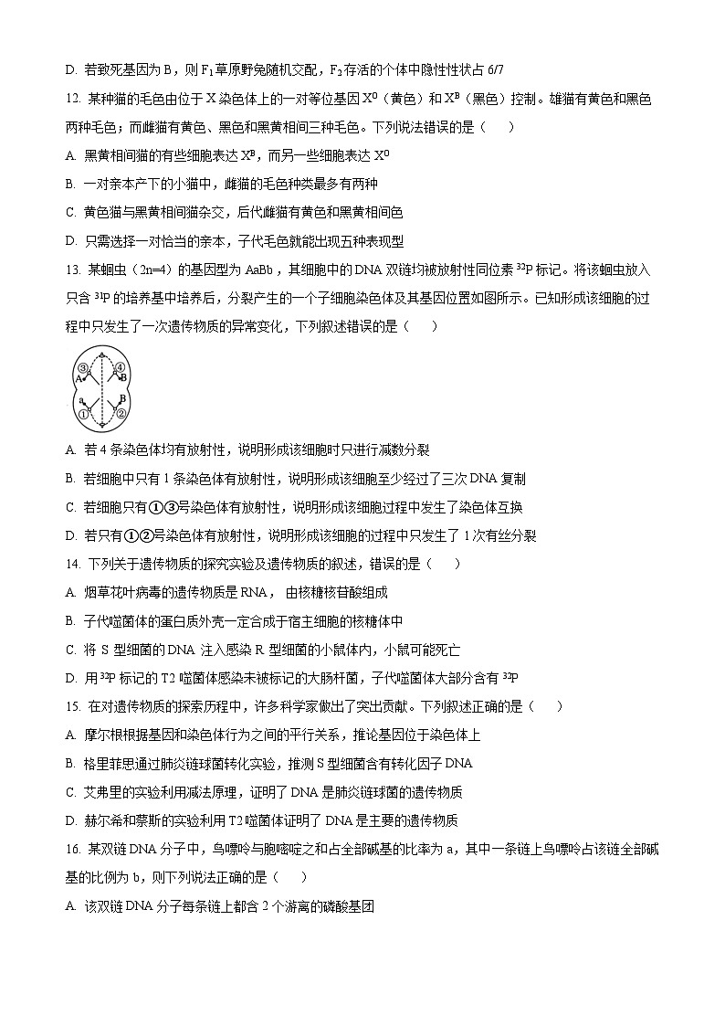 2023绵阳南山中学实验学校高一5月月考生物试题含解析03