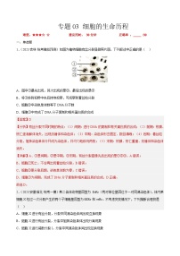 专题卷03 细胞的生命历程-【小题小卷】冲刺2023年高考生物小题限时集训（新高考专用）（解析版）