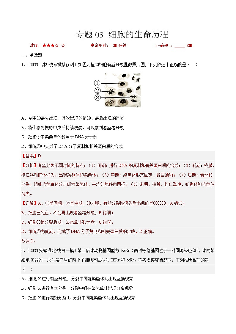 专题卷03 细胞的生命历程-【小题小卷】冲刺2023年高考生物小题限时集训（新高考专用）（解析版）01